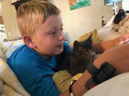 I didn't expect two tiny kittens to bring so much joy into the house, but  here we are, one week in, already smitten. They've turned the mornings  upside down, scattered toys under