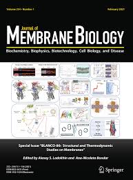 Permeability changes induced by electric impulses in vesicular membranes