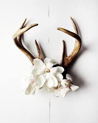 We did not find results for: 55 Flowers Deer Horns Ideas Deer Horns Deer Horns