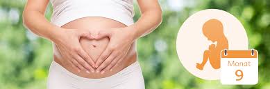 Den embryo sah man dann in der 9ten woche bei meinem 2ten arzttermin 9 Monat Schwanger Alles Uber 9 Schwangerschaftsmonat Hipp