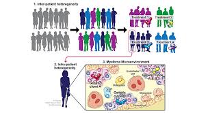 They are part of your immune system. Research For Multiple Myeloma Mount Sinai New York