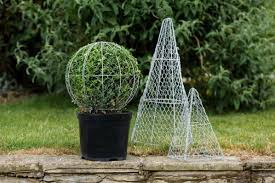 Pin On Garden Plant Info Ideas