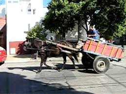 Comenzamos con el carro, antecesor del coche de caballos y, por tanto, uno de los medios de a un carro de dos ruedas y con cubierta de algún tejido más o menos resistente y de un material sencillo. Caballos Con Carros Cordoba Argentina Youtube
