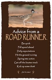 Roadrunner united was a project organized by the heavy metal record label roadrunner records to celebrate its 25th anniversary. Advice From A Roadrunner Frameable Art Card Your True Nature Inc