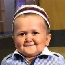 Daniel Adwell's Instagram, Twitter & Facebook