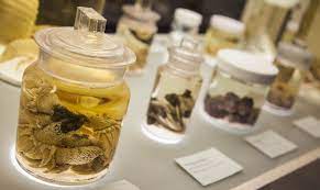 Many of these reactions are related to the quantity of excipient found in a dosage form. Preservative Free Wine Why I M In A Pickle Love Being Alcohol Free