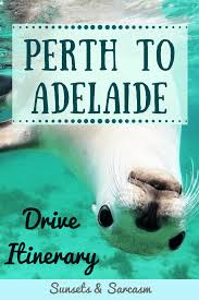 Epic Perth To Adelaide Drive Itinerary Nullarbor Dolphins Stunning National Parks Australian Road Trip Western Australia Travel Road Trip