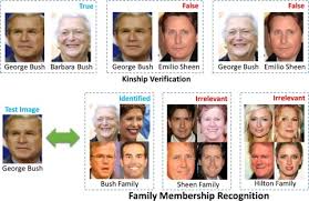 Style Recognition And Kinship Understanding Sciencedirect