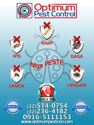 Whether you're in quezon city, manila, or makati, our reliable pest management services will help you get rid of cockroaches, rodents, ants, termites, bedbugs, and other pest infestations. Fumigation Philippines List Of Philippines Fumigation Companies