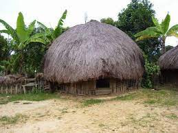 Berikutnya adalah rumah adat bubungan tinggi yang berasal dari provinsi kalimantan selatan. Rumah Adat Honai Berasal Dari Provinsi All Desain