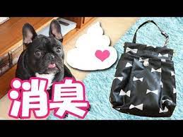 パクパクポシェット うんちの匂いを消臭するお散歩ポーチ youtube ポーチ いぬ パクパク