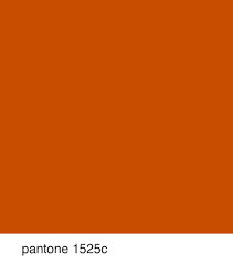 I would feel really happy in a room painted this pretty golden orange. Pantone1525c Jpg Image Orange Paint Colors Burnt Orange Paint Orange Painted Furniture