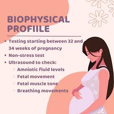 Image result for Biophysical Profile