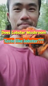 Do you really want to know what exactly Lobster mushroom taste like?????  Hear me out! :)))) 🍄🍄🍄🍄🍄🍄
