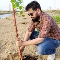 800+ "Tawheed" profiles