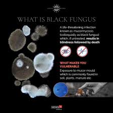 Black fungus in corona patient covid complications mucormycosis. 7u0gy3erygby0m