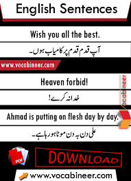 English Sentences In Urdu English To Urdu Sentences English Urdu Conversation English Vocabulary Words Learn English Words English Phrases Sentences