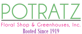 Shop proflowers® & send fresh flowers to loved ones in erie! Home Potratz Floral Shop And Greenhouses