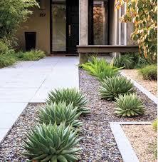 Have The Aloe Front Yard Landscaping Design Front Landscaping Small Front Yard Landscaping