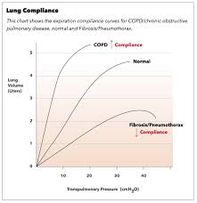 Dynamic compliance cannot be considered a satisfactory substitute, as it is dependent on the airway resistance and can be misleading in various. Physiology Lung Compliance Article