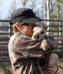 Die einzigartige natur lapplands eignet sich bestens für wanderungen, trekkingtouren und radtouren. Bilder Von Sehenswurdigkeiten Pello Polarkreis Lappland Finnland Travel Pello Lappland Finnland