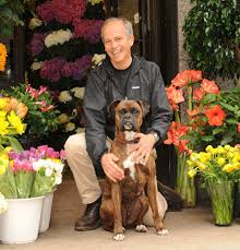 Modern bouquets & unique plants designed to impress. About Philip Flowers By Philip