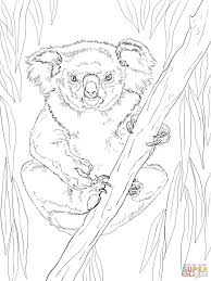 Supercoloring.com is a super fun for all ages: Panda Cute Baby Animal Coloring Pages Novocom Top
