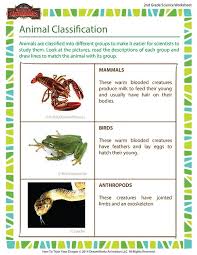 Animal Classification Worksheet 2nd Grade Animal Science School Of Dragons Animal Classification 2nd Grade Worksheets Animal Classification Worksheet