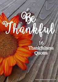 Learning to be thankful and regularly expressing gratitude is an important part of. 16 Thankfulness Quotes The Peaceful Haven Thankful Quotes Thankful Thanksgiving Quotes