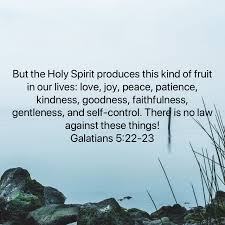 Pin By Shelly Lund Billeisen On Shelly S 2020 Growth Plan In 2020 Bible Apps Romans 12 New King James Version