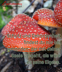 Schutz Und Geborgenheit Findest Du Nur Bei Jemanden Der Mit Deiner Seele Umgeht Als Ware Es Seine Eigene Zitat Von Die Tagesrandbemerkung Zitat Des Tages Wahrheit Zitate