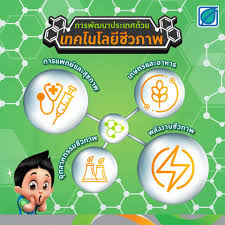 Depending on the tools and applications, it often overlaps with related scientific fields. Bangchak à¹€à¸—à¸„à¹‚à¸™à¹‚à¸¥à¸¢ à¸Š à¸§à¸ à¸²à¸ž Biotechnology à¸„ à¸­à¹€à¸—à¸„à¹‚à¸™à¹‚à¸¥à¸¢ Facebook