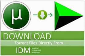 Install a vpn to protect your privacy (optional) · step 2: How To Download Torrents Utorrent Hd Movies With Idm English Book Torrent Hd Movies