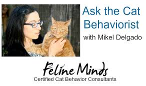 Bad cat behaviors have long been the source of frustration for cat owners, and when your beloved felines chew things they're not supposed to, it ranks we reviewed dozens of cat chew toys to identify the best of the best. Cat Behaviorist Mikel Delgado Answers April S Questions The Conscious Cat