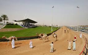 A magical glimpse of mount fuji amid a snowy photo of the day! Al Marmoum Camel Race Track Dubai