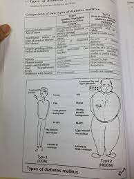 Pin By Gm Lailie On Medical Notes Bullet Journal Notes Medical