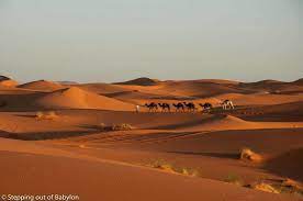 From wikipedia, the free encyclopedia. Merzouga Where Is The Sahara Desert