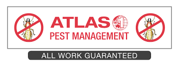 Ants are never welcome in any home. Atlas 1 Pest Management Pest Management Company Based In Perth