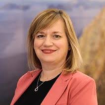 Our provincial boards