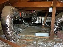 We'll provide you with pest control services promptly. Keep Water Pests Out Of Your Crawl Space Cleaning In Burbank Ca