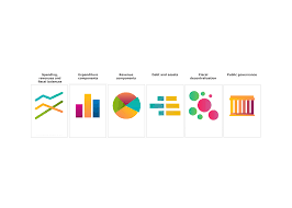 Their focus includes aspects such as public financial management, decentralization, transparency and accountability, and public sector employment. Public Finance Oecd