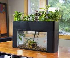 Self Sustaining Aquarium Garden Aquaponics System Aquaponics Backyard Aquaponics
