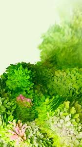 Samsung seems to be going for a floral theme this time. S20 Flowers Galaxy Green Leaves Mobile Phone Samsung Tech Hd Mobile Wallpaper Peakpx