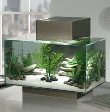 Nano Aquarium L Anti Kitsch Par Excellence Ikan Akuarium Tanaman Akuarium