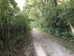 Du kan bli kvitt det verste ubehaget ved halsbetennelse hvis du får masse hvile, varm drikke, sugetabletter og febernedsettende medisiner. Infeksjoner Og Trening Tips Til Nar Du Skal Hvile Og Nar Du Kan Vaere I Aktivitet Runner S World Norge