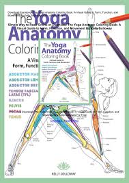 By utilizing this coloring book it is possible for you to to trace arteries and their bifurcations, veins and their tributaries and nerves (together with right this moment, on this article, we're going to share with you netter's anatomy coloring book pdf for free downloading. Pdf The Yoga Anatomy Coloring Book A Visual Guide To Form Function And Movement By Kelly By Rodneywalker 61 304 Issuu