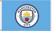 Amazon.com : MCFC Official Manchester City Crest Premier League ...