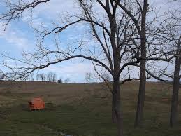 PHASE I ARCHAELOGICAL SURVEY OF THE KY 32 IMPROVEMENT ROWAN AND ELLIOTT  COUNTIES ITEM NO. 9-192.00 June 2013 PREPARED FOR: KENT