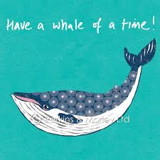 What made you want to look up a whale of a time? Whale Of A Time Card Perkins And Morley Designs
