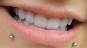 There are many species of snakes in the world, and the most venomous snakes are found right here in australia. 15 Sexy Snake Bites Piercing Ideas
